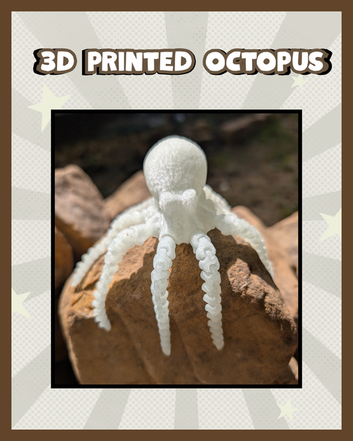 3D Printed Octopus