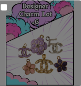 Designer Charm Lot – Set of 6 (New)