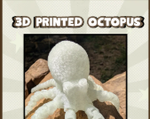3D Printed Octopus