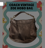 Authentic Coach Vintage Zoe Hobo Bag (Pre-Owned)